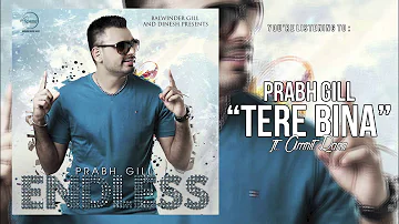 Prabh Gill - "Tere Bina" ft. Amrita Rana | Latest Punjabi Songs 2014