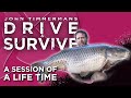 A session of a lifetime  john timmermans  drive and survive