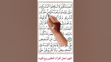 سورة البقرة من الاية 218 الي 223 #memorizequran #اكسبلور #المصحف