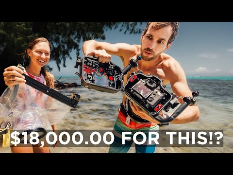 9,000.00 Vs. $350 Camera Housing To Shoot Underwater