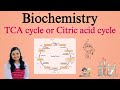 TCA Cycle (Citric Acid Cycle / Krebs Cycle) | Biochemistry | B.Pharm 2nd Semester