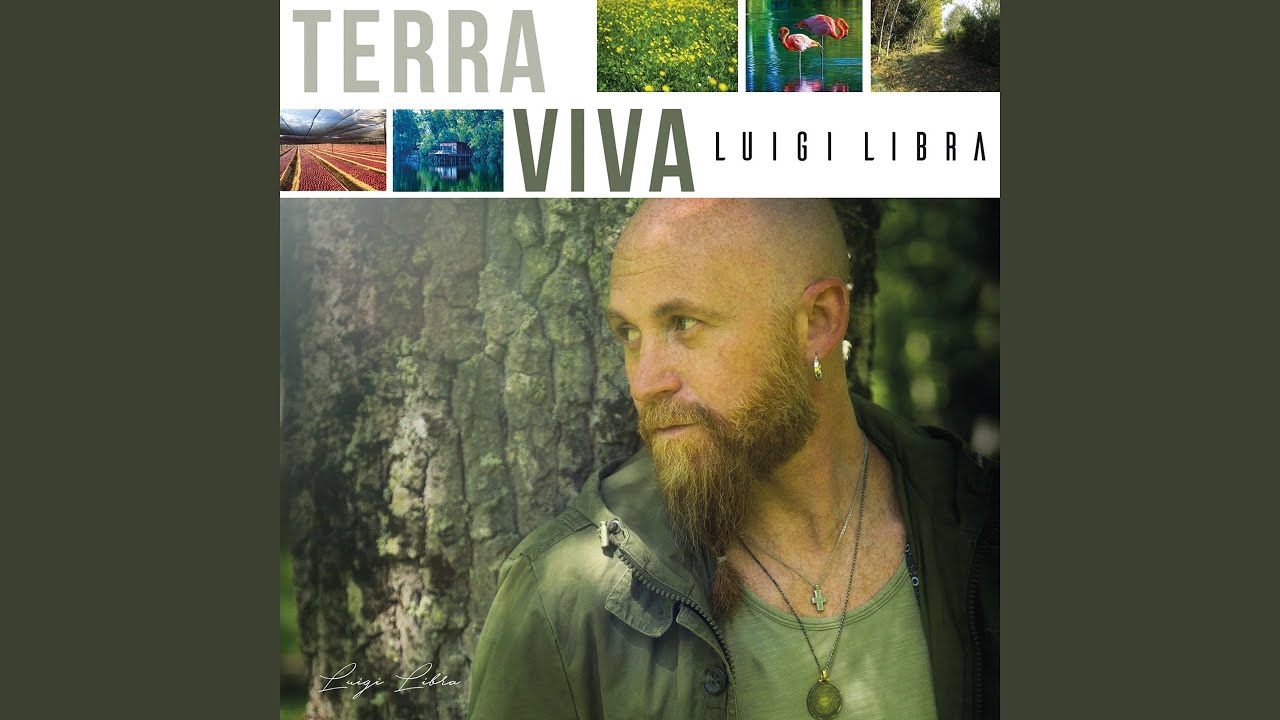 Io Vulesse Truvà Pace Testo Traduzione