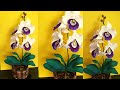 Maravilhosa orquídea balé em eva  uma linda opção para o dia das  mães