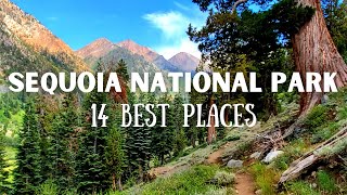 The 14 Best Places To Visit In Sequoia & Kings Canyon National Parks