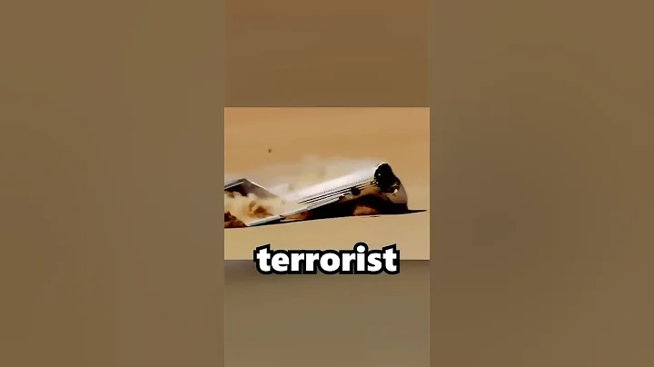 Why This Airplane CRASHED on PURPOSE?!