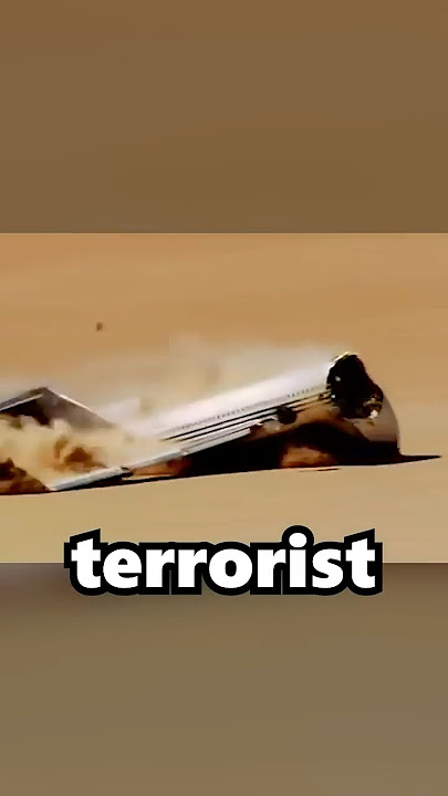 Why This Airplane CRASHED on PURPOSE?!