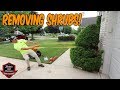 Shrub Removal ► Small Tear Out ► Removing 2 Shrubs With Brandon's Help!