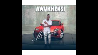 Mr Tonito - Awukhensi (Prod. BS4Beatz) (2022)