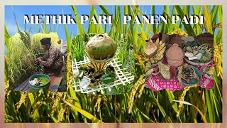 METHIK PARI atau MEMANEN PADI - ADAT JAWA