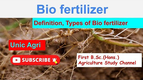Bio fertilizer - Definition, Type of biofertilizer