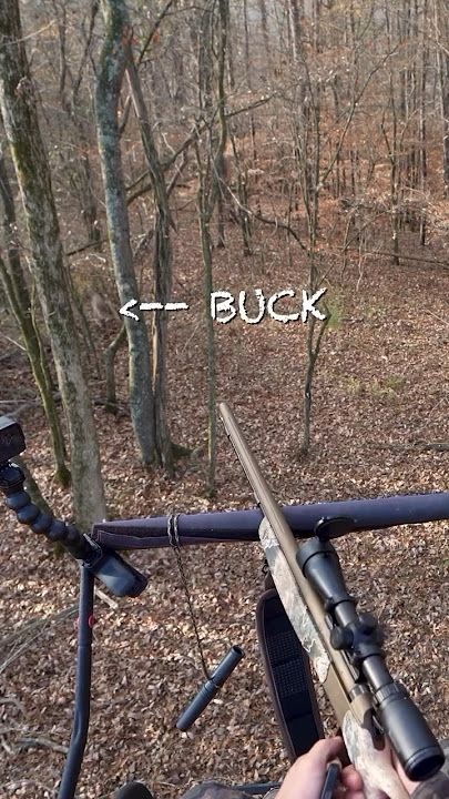 BIG BUCK AT 5 YARDS! #deer #deerhunt