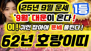 62년생 호랑이띠 2025년 운세 9월대운 들어온다! 금전복과 자식복 문서까지 들어와 경사난다! l 64세 …