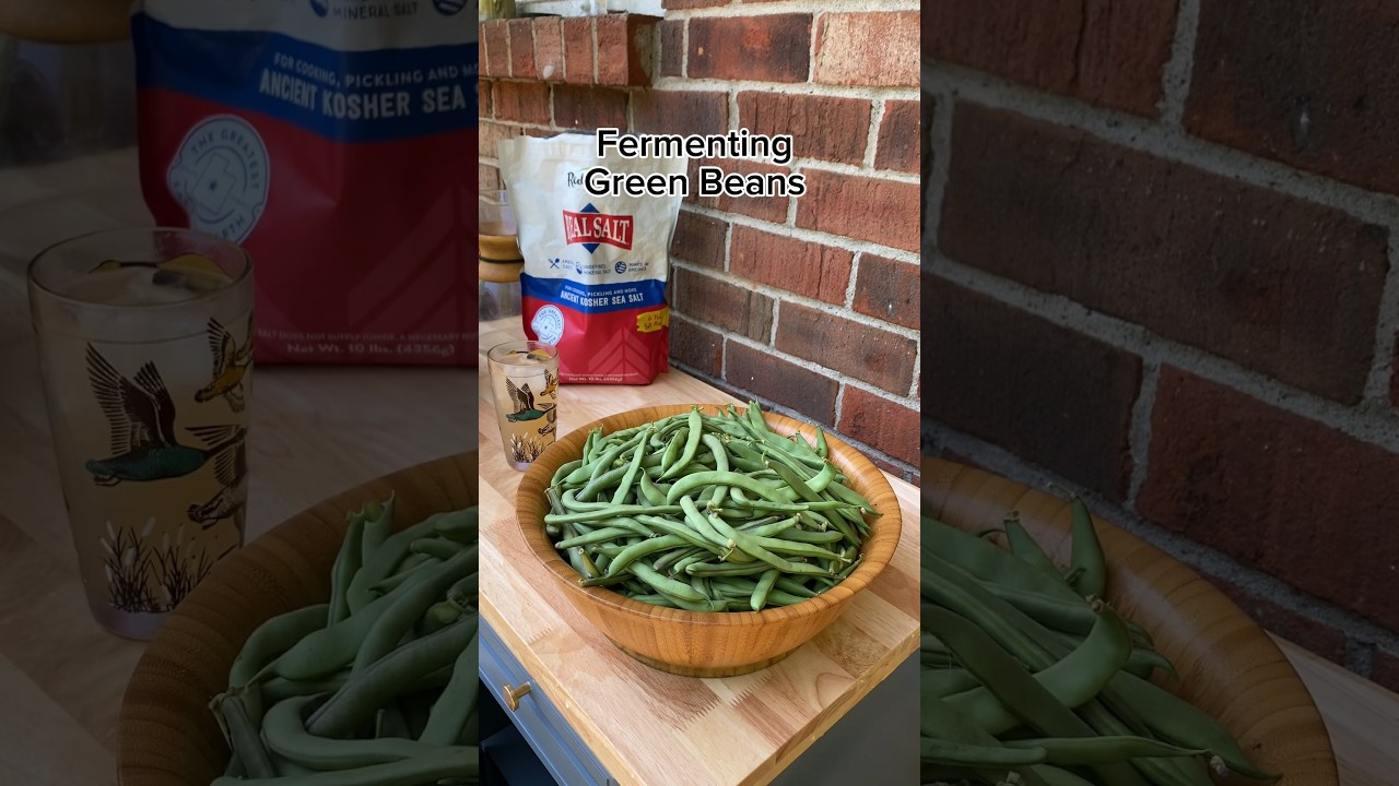 Tangy Lacto Fermented Green Beans 