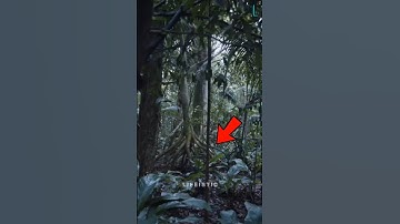 Walking Tree caught on camera! 😱❌ #shorts #viral #youtubeshorts