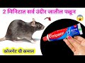 Just use colgate once and all mice will run awaykitchen tips  marathi kitchen