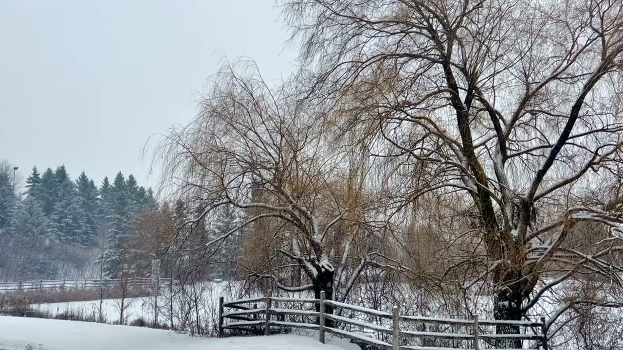 Wildwood – Away in a manger (instrumental lullaby)