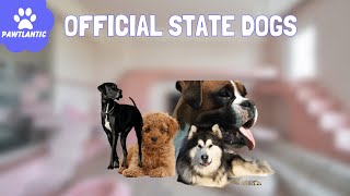 12 Official State Dogs in the US  A Canine Journey Through America