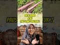Batu mirip paus ini aslinya dikutuk? #earth #thailand #world #trending #contentcreator #funfacts #fy