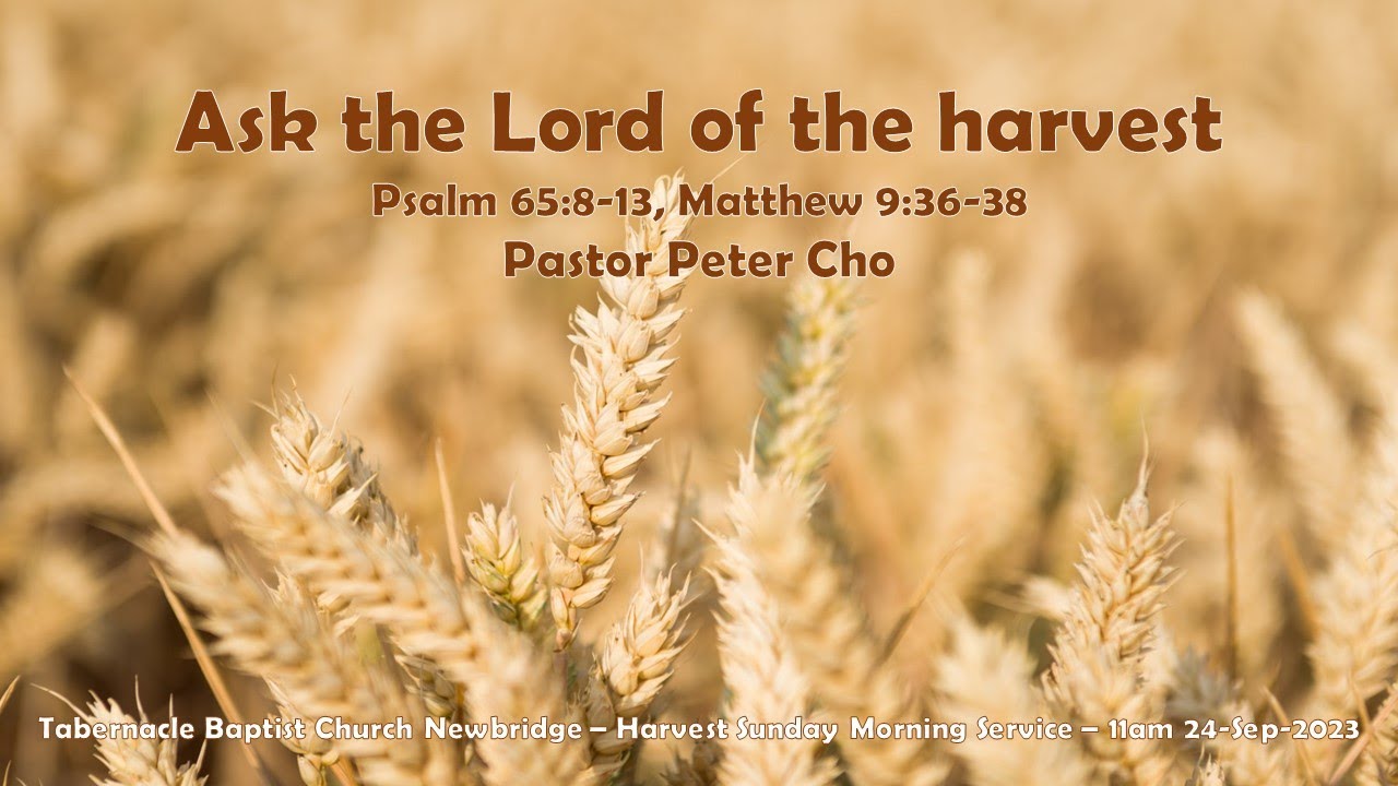 ask-the-lord-of-the-harvest-psalm-65-8-13-matthew-9-36-38-11am-24