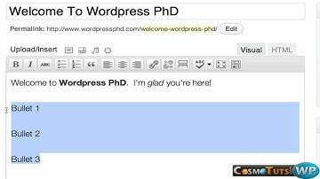 Wordpress Basics Video 04 - Creating Your First Post - wp.CosmoTuts.com