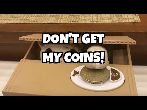 CAT IN A BOX COIN BANK