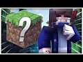 Giocare a Minecraft è Stupido?