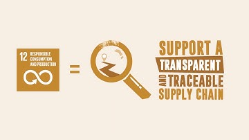 Demand Sustainable Rubber: Support a transparent and traceable supply chain