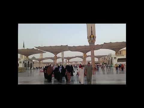 سال دمعي شوقا يا حبيبي إليك حالات دينيه قصيره فيديوهات اسلامية اناشيد ماهر زين