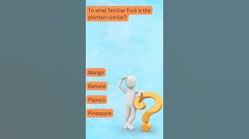 Trivia game | English Quiz #mindbendingquiz #triviatricks #quiz