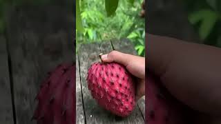 Custard apple cutting #fruit #satisfying #fruitcutting