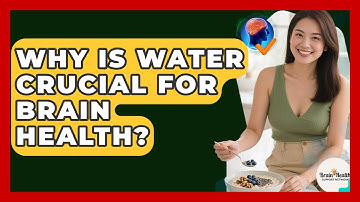 Why Is Water Crucial For Brain Health? - Brain Health Support Network