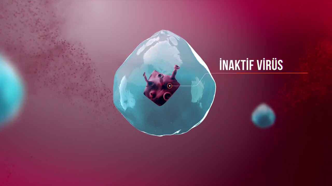 🎥 İnaktif Aşılar Nasıl Çalışır