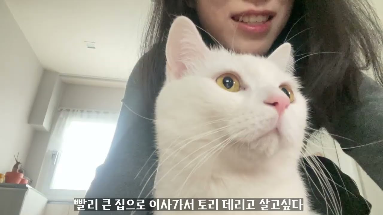 2월 순삭! 별거 없는 일상