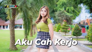 DJ AKU CAH KERJO - DJ INTAN NOVELA REMIX LAGU TIKTOK VIRAL TERBARU PALING MANTAP YANG KALIAN CARI