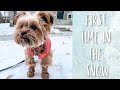 VLOG: WINTER CAME EARLY | PUPPY EXPERIENCES SNOW FOR THE FIRST TIME