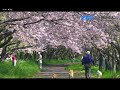 JOBX DTV OAB大分朝日放送クロージング デジタル 2021 8 16 