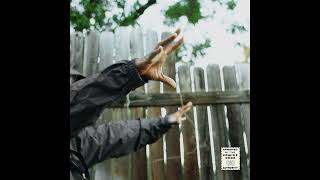 Madvillain - Madvillainy 2: The Madlib Remix (Full Album)