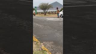 Arriving at Camdeboo National Park #desolation #sanparks #shorts #easterncape #wildlife