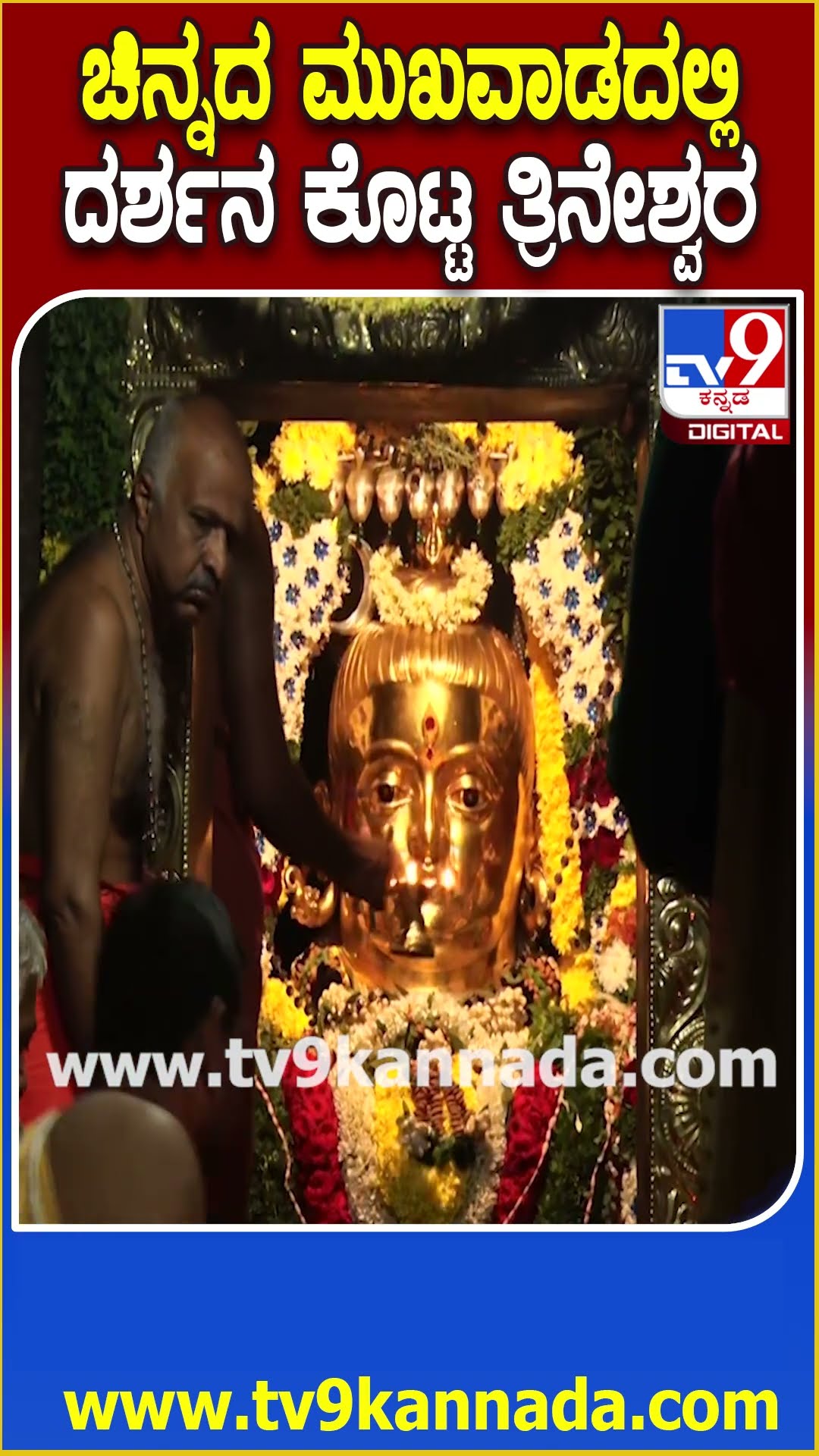 ಮೈಸೂರು ಅರಮನೆ ತ್ರಿನೇಶ್ವರ ದೇಗುಲದಲ್ಲಿ ಶಿವರಾತ್ರಿ ವಿಶೇಷ ಪೂಜೆ ಹೇಗಿದೆ ನೋಡಿ | #TV9D