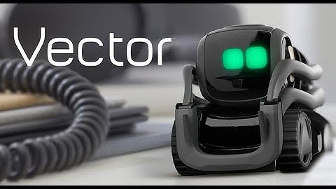 Fun facts about vector robot and what can vector do