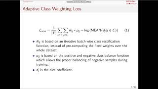 Famous Oral 1: MSCG-Net with Adaptive Class Weighting Loss for Semantic Segmentation (UiT, Norway) Net Worth