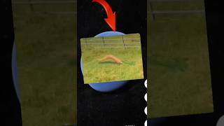 😶‍🌫️🤯😱i Found Very Weird Horse on Google Earth and Google Maps #hrbro76 #shorts #googleearth#viral