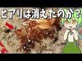 生物の謎7選!ヒアリはどこに消えたのか?【総集編】