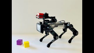 Review : CM4 XGO Robot Dog Kit For Raspberry Pi