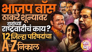 ZP Election Result 2026: ६ ठिकाणी भाजप तर मविआ मोठ्या पिछाडीवर, जिल्हा परिषदेचे संपूर्ण निकाल काय ?