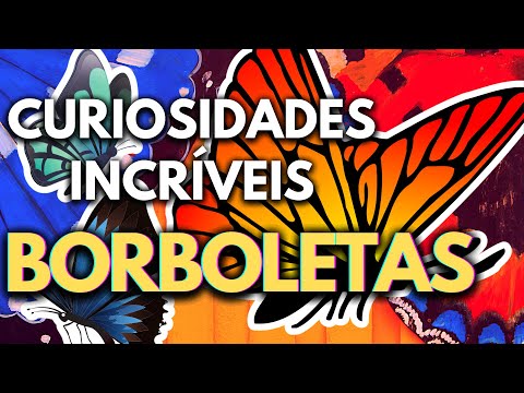 CURIOSIDADES SOBRE AS BORBOLETAS