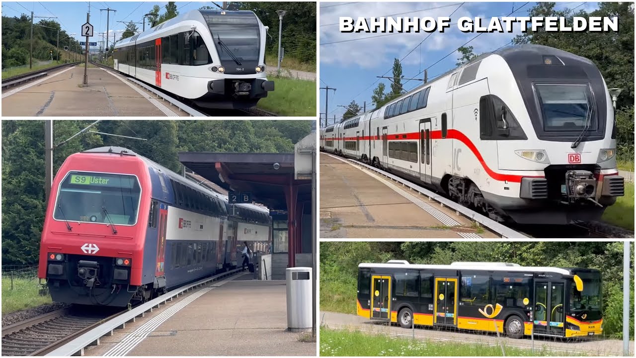 Züge beim Bahnhof Glattfelden | Trains at Glattfelden station (2024)