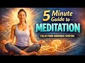 5‑minute guided meditation to help calm chronic stress and gently reset your nervous system. 
