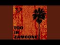 Too In Zamoone 