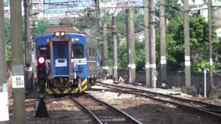1013次 EMU512 EMU515 12節長編組停靠樹林車站第三月台